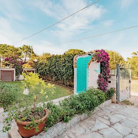 Апартаменты Mango